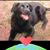 Rodney Sharber's profile image