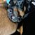 Teresa Loza-Duke's profile image
