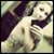 Mia Misfit's profile image