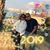 Elvira N Miguel Rodas's profile image