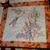 Bev Nester's profile image