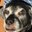Dave Richard's profile image