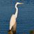 Lori Verhagen's profile image