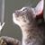 Isabel Garcia-Ramos's profile image