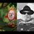 Pam Rishell Bishop's profile image