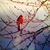Carol Anne Zsiga's profile image