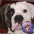 Linda Jeeves's profile image