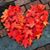 Margaret Miller-Grillini's profile image