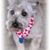 Rich Heckmann's profile image