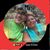 Diane Holland's profile image