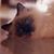 Martha Fowler's profile image