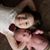 Kelly Hooper-Walters's profile image