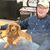 Gregory L. Siepker's profile image