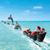 Judy Anderson's profile image