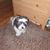 Andrew Steffenhagen's profile image