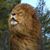 Lucy Romagnano's profile image