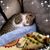 Tamara Keith's profile image