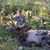 Colten Chambers's profile image