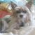 Kelly Ratekin's profile image