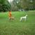 Maureen Lucas's profile image