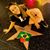 Maria Jose Silva's profile image
