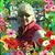 Barbara Klase's profile image