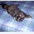 Mary Ellen Quinn's profile image
