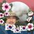 Kyu Sang Lee's profile image