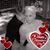 Shannon Langham's profile image