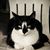 Margaret L. Spilker's profile image