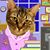 Kitty Dolan's profile image