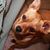 Oanh Thai's profile image