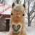 Kati Evertz-Garcia's profile image