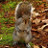 Derek's profile image