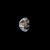 Mike Garcia's profile image
