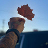Fernando C.'s profile image