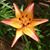 Becky Flowers's profile image