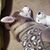Sandy Giebel-Zellner's profile image