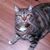 Hildi M. Williams's profile image