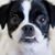 Cindy Jencks's profile image