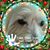 Paula Jennings Hilton's profile image