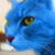 Dmitriy Bryndin's profile image