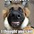 Tammy Peoples Reeves's profile image