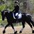 Kathe Dupuis's profile image