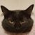 Taylor Kinne's profile image