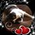 Christy Ascencio Caron's profile image