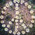 Jennelle Wade-Daniels's profile image