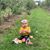 Nora Grimes MacGlaughlin's profile image