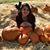 Sharon Pinzon's profile image