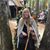 Maryanne Harris's profile image